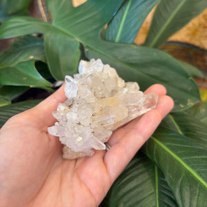 Clear Quartz Cluster