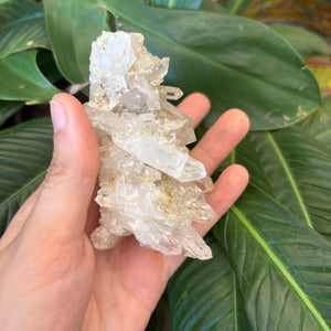 Clear Quartz Cluster