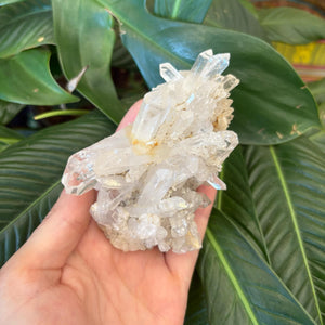 Clear Quartz Cluster