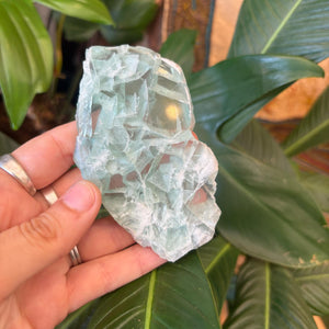 Rainbow Fluorite Slice ~ Clarity ~ Balance ~ Healing