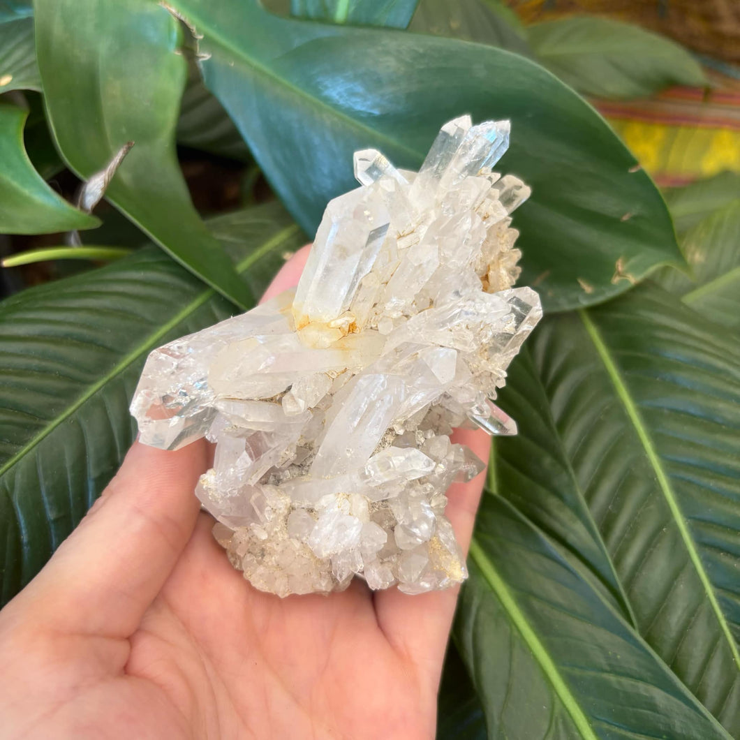 Clear Quartz Cluster