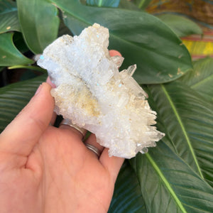 Clear Quartz Cluster