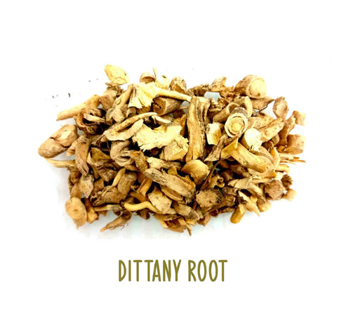 Dittany Root ~ Dried Herbs ~ Spells ~