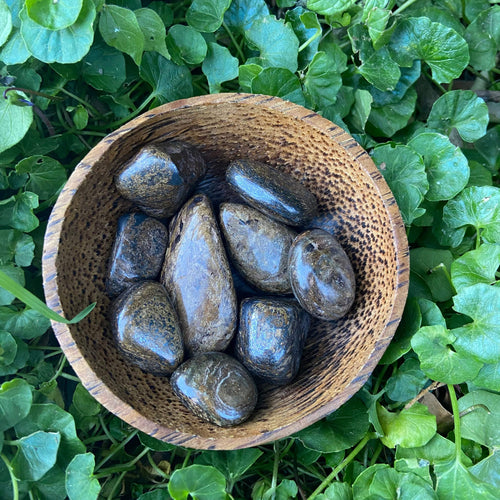 Bronzite Tumbled Stone ~ Grounding~ Creativity~