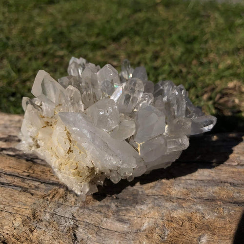 Clear Quartz Cluster